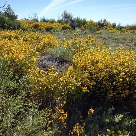 Casa Do Chefe Σπίτι διακοπών
