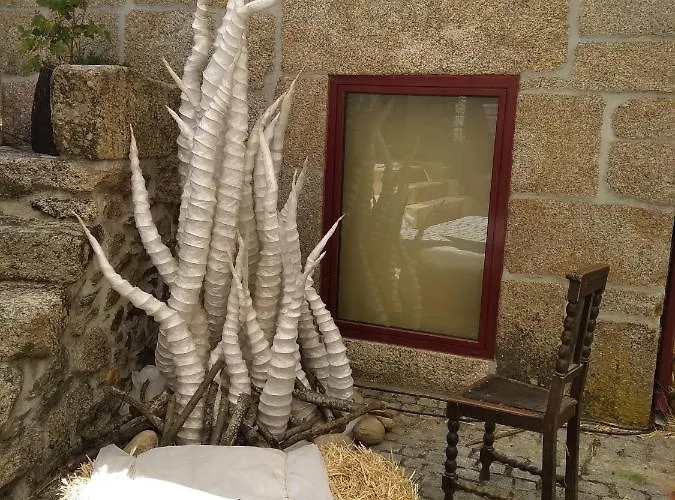 Casa Do Chefe Videmonte